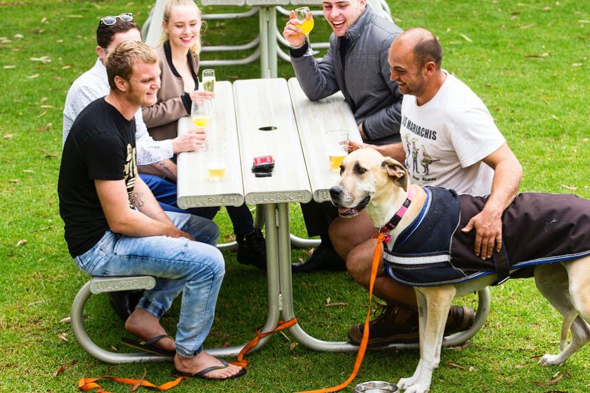 Dog Friendly Pubs & Bars in Perth, WA